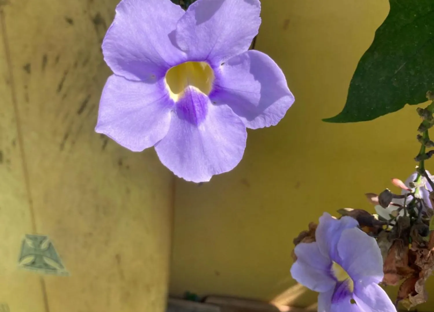 Pousada Coracao Do Rosa 프라이아도로사 0*,  브라질